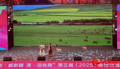 摄今天是2025年11月8日