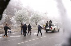 人平易近日概况关于人平易近网聘请聘请英才告